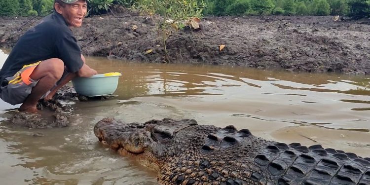 Persahabatan Manusia dan Buaya