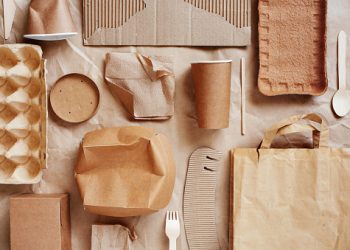 5 Jenis Wadah yang Menjadi Daya Tarik Kemasan Makanan Berkelanjutan