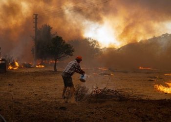Alami Kebakaran Hutan Mematikan, Turki Minta Bantuan Uni Eropa