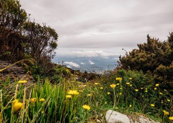 membangun keteladanan