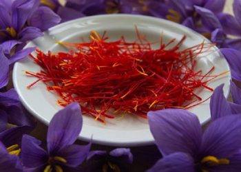 Manfaat Saffron untuk Kecantikan Kulit Wajah dan Rambut