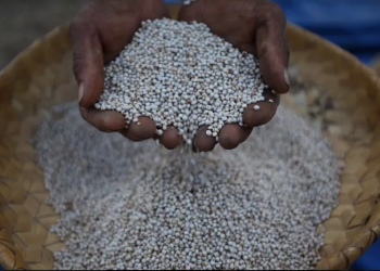 Mengenal Kuliner Nusa Tenggara Timur, Gunakan Bumbu yang Sangat Minumalis