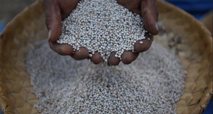 Mengenal Kuliner Nusa Tenggara Timur, Gunakan Bumbu yang Sangat Minumalis