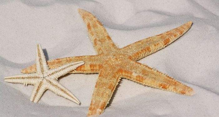 Tips untuk Sambut Ramadan Terbaik dalam Hidupmu