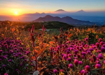 Berburu Golden Sunrise Terbaik di Wisata Silancur Highland