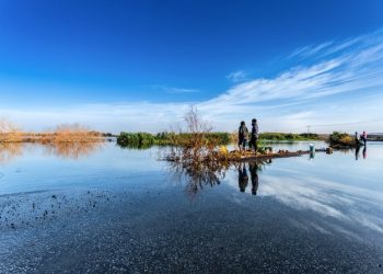 Wadi Hanifah Wisata Alam Terbuka Dekat Kota Riyadh