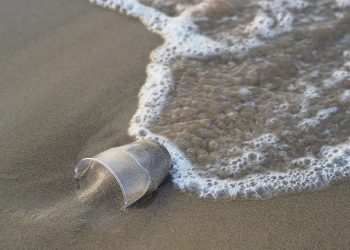 Pendidikan dengan Peristiwa