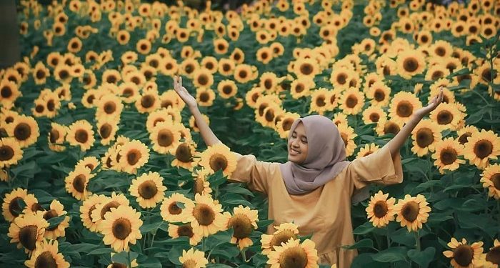 Menikmati Indahnya Bunga Matahari Mekar di Sky Garden