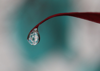 Khalifah Umar Menangisi Kepergian Khalid bin Walid