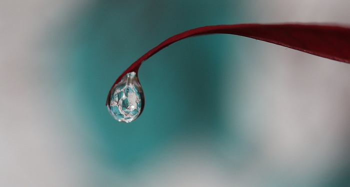 Khalifah Umar Menangisi Kepergian Khalid bin Walid