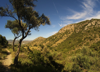 Lima Perkara Nabi Saw Meminta Perlindungan Kepada Allah (2)