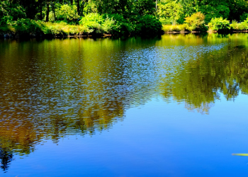 Menghadapi Kezaliman Penguasa (1)