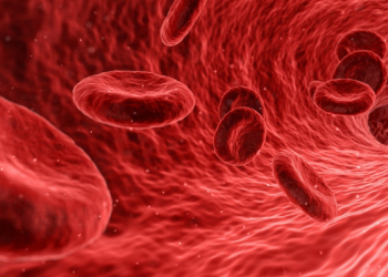 Cara Melancarkan Peredaran Darah agar Tubuh Tetap Sehat