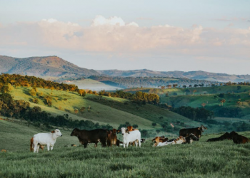 Tafsir Surat Yasin Ayat 73, Manfaat Hewan Ternak
