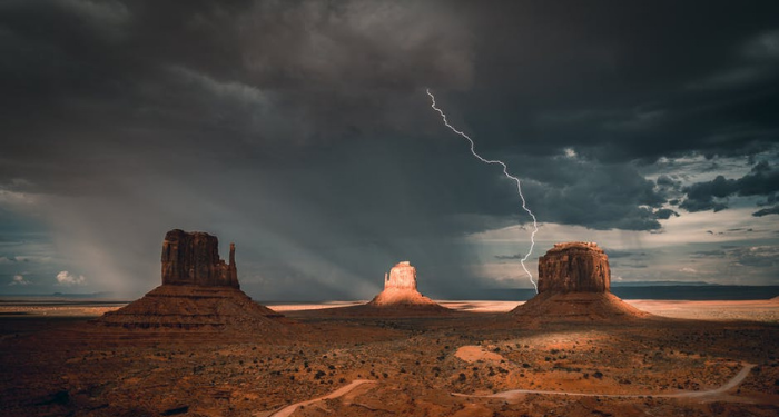 Tafsir Surat Yasin Ayat 73, Manfaat Hewan Ternak