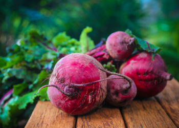 Mengenal Buah Bit yang Miliki Banyak Khasiat untuk Kesehatan