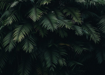 Keteladanan yang Baik untuk Ditiru