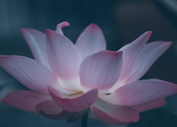 Cara Berbakti kepada Kedua Orang Tua yang Sudah Meninggal Dunia