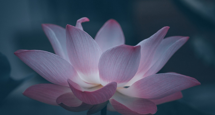 Cara Berbakti kepada Kedua Orang Tua yang Sudah Meninggal Dunia