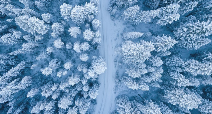 Jangan Menganggap Remeh Kebohongan Kecil