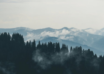 Upaya untuk Bertahan Hidup di Alam Bebas dalam Kondisi Darurat