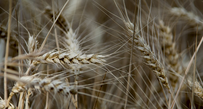 Segala Sesuatu Asalnya Halal (Tafsir Al-Baqarah: 29)