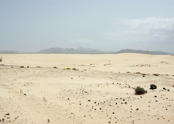 Lima Perkara Nabi Saw Meminta Perlindungan Kepada Allah (3)