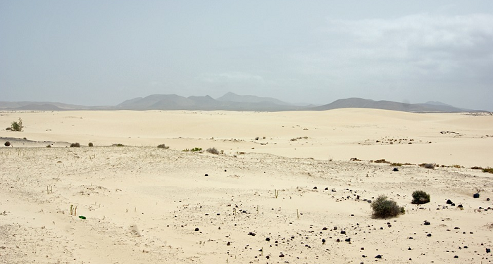 Lima Perkara Nabi Saw Meminta Perlindungan Kepada Allah (3)