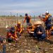 Peringatan WCD: Dompet Dhuafa bersama Tabur BankSa Tanam 1000 Mangrove