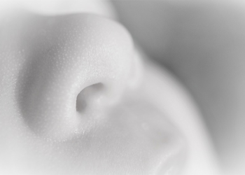 Bagaimana Indra Penciuman Si Kecil Berkembang?