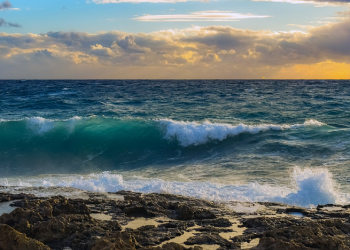 Nabi Nuh: Simbol Keteguhan (Seri Kisah Orang Pilihan)