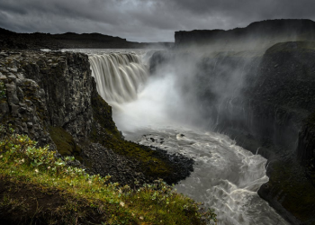 Keselarasan Cinta dan Tanggung Jawab Miqdad bin Amr