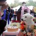 Anjing di Korsel Dinobatkan Sebagai Anjing Penyelamat Kehormatan