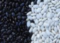 Manfaat Kacang Hitam Bagi Kesehatan