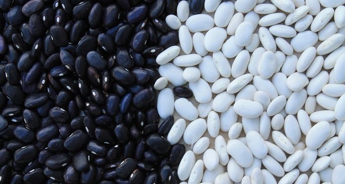 Manfaat Kacang Hitam Bagi Kesehatan