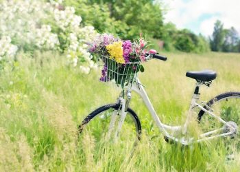 Tips Memilih Sepeda Buat Goweser