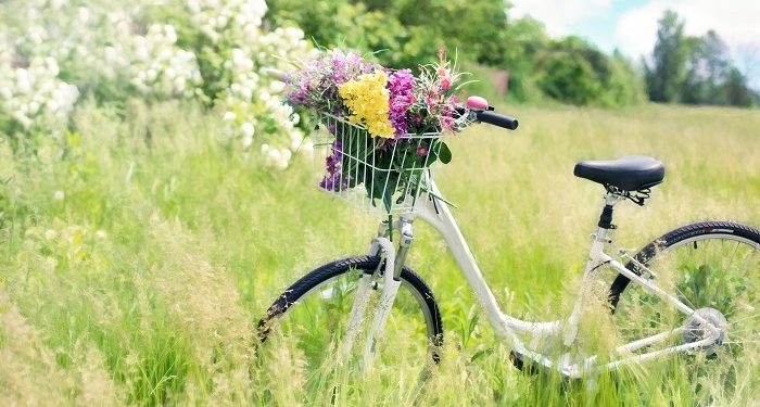 Tips Memilih Sepeda Buat Goweser