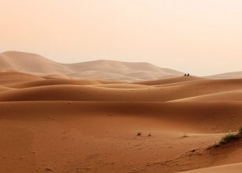 Makna Pengorbanan ala Muslimah Wahdah Islamiyah Sulsel