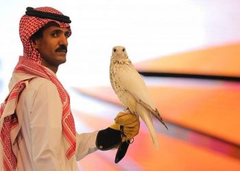 Elang Termahal di Dunia Terjual di Saudi dengan Harga Lebih dari $465.000