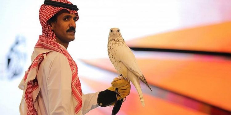 Elang Termahal di Dunia Terjual di Saudi dengan Harga Lebih dari $465.000
