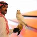 Elang Termahal di Dunia Terjual di Saudi dengan Harga Lebih dari $465.000