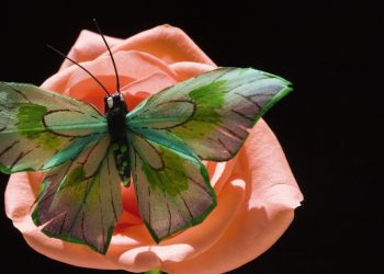 Plus Minus Jodohan Via Online