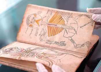 Manuskrip Langka Medis Islam Ditemukan di Perpustakaan Umum King Abdulaziz