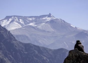 Hijrah itu Menguras Rasa