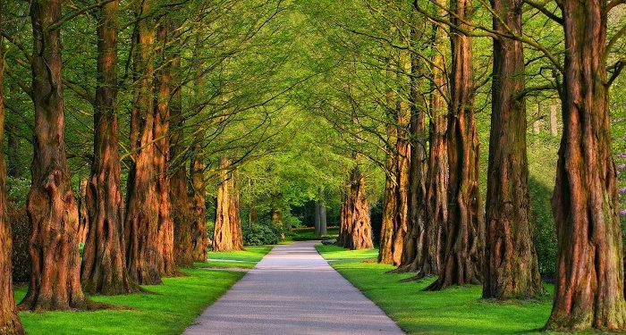 Orang-orang yang Merasa Senang Ditinggalkan Dakwah