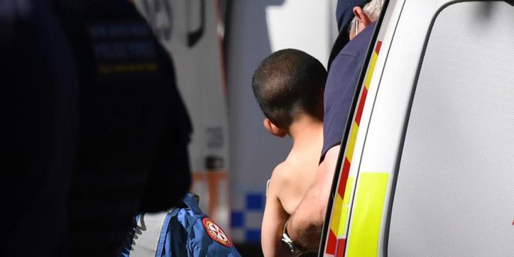 Bocah Australia Berusia 3 Tahun Ditemukan Hidup Setelah Hilang di Pedalaman