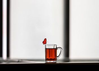 perzinahan menghancurkan