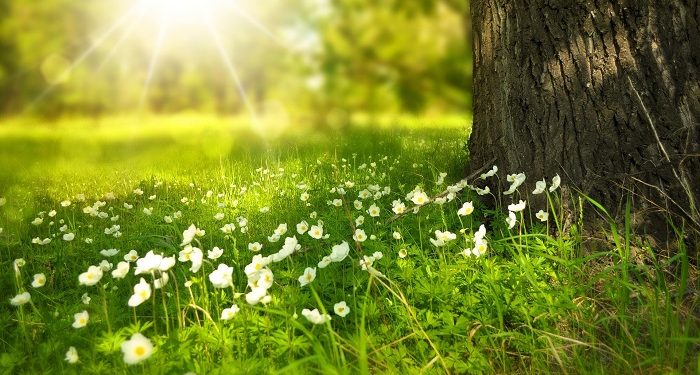 Ketegasan Orangtua kepada Anak yang Terindikasi LGBT