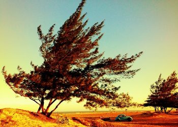 Semoga Kita Tidak Lupa, Untuk Apa Kita Diciptakan