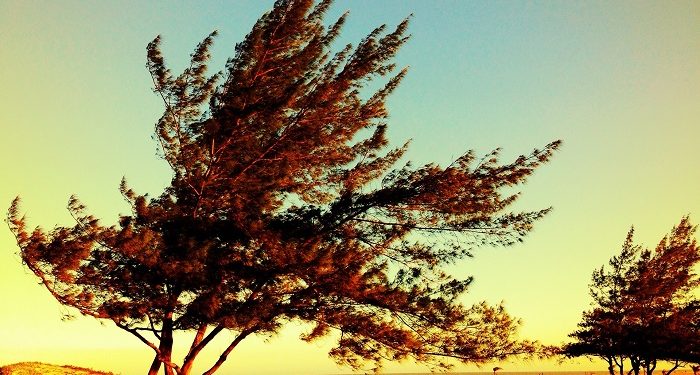 Semoga Kita Tidak Lupa, Untuk Apa Kita Diciptakan